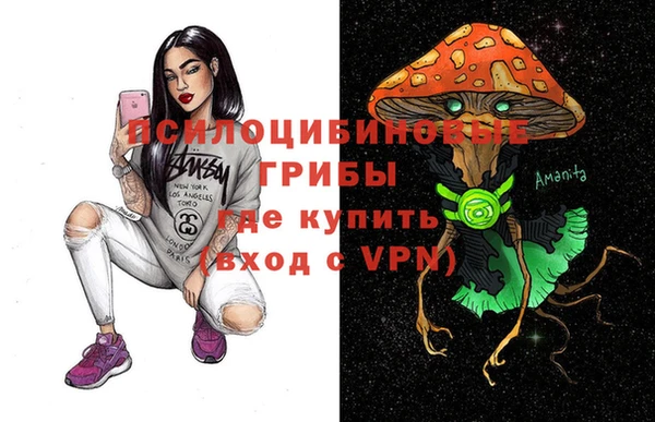 прущие грибы Бугульма