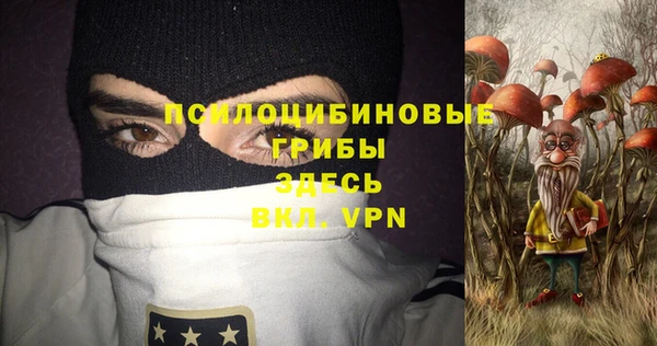 прущие грибы Бугульма