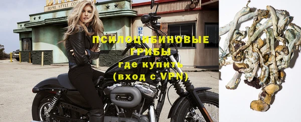 2c-b Бронницы