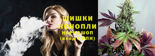 прущие грибы Бугульма